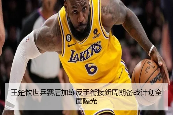 王楚钦世乒赛后加练反手衔接新周期备战计划全面曝光（ob.com）