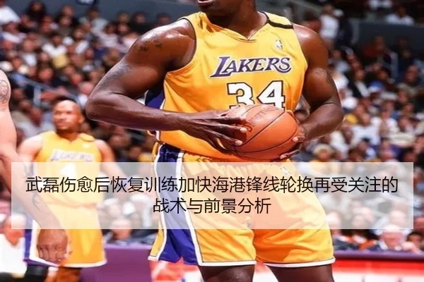 武磊伤愈后恢复训练加快海港锋线轮换再受关注的战术与前景分析 | ob.com
