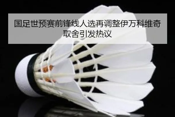 国足世预赛前锋线人选再调整伊万科维奇取舍引发热议 | ob.com