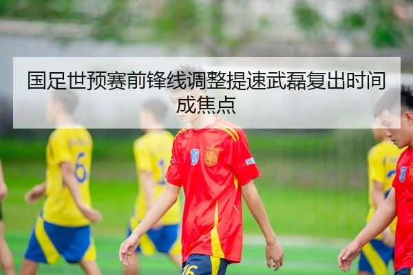 国足世预赛前锋线调整提速武磊复出时间成焦点 | ob.com